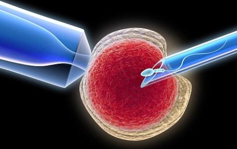 40歲以上女性做試管一次移植幾個胚胎到子宮合適？