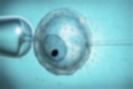 美國(guó)試管嬰兒:走進(jìn)冷凍卵子技術(shù)