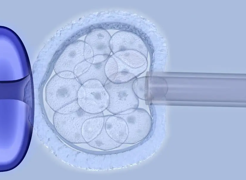 囊胚培养失败三大原因解析，女方取卵多不一定都养囊成功