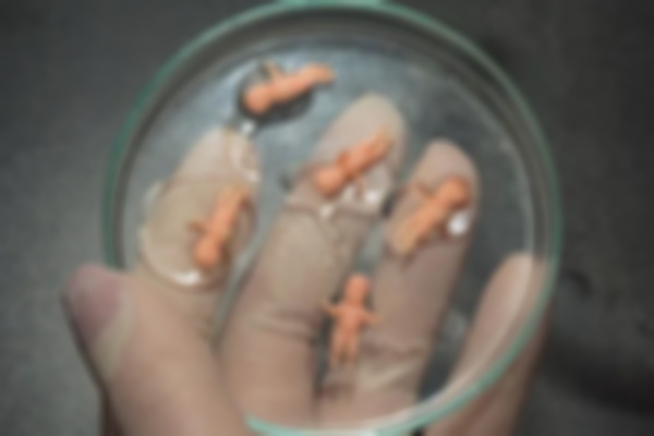 单身可以去台湾做试管婴儿吗?去台湾试管婴儿需要什么证件?
