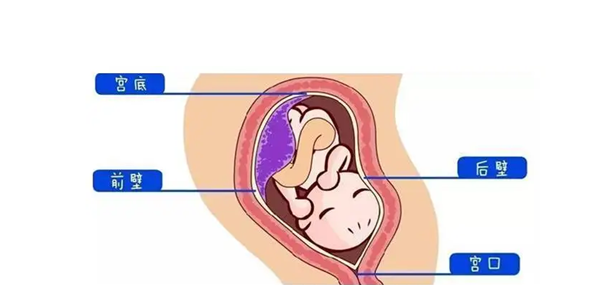 民间怀孕看前后壁准不准，带你深入了解一下真相