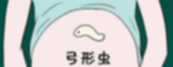 孕妇弓形虫要小心，否则对胎儿的健康影响严重！