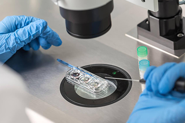 柬埔寨試管嬰兒vs泰國試管嬰兒,柬埔寨試管的柬埔柬埔<strong></strong>這三大優(yōu)勢你要知道