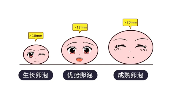 这些调理卵泡质量的中药方子你知道吗？不妨试试看