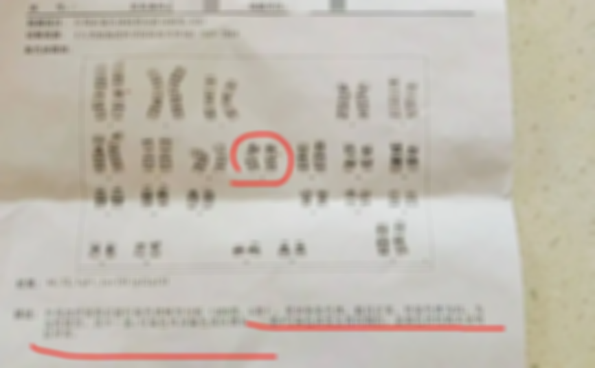 详述染色体纯合ROH的意思