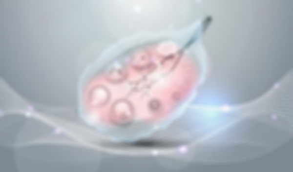 卵泡萎缩不要怕，试管助孕帮你圆生子梦