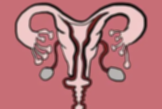 石女定义为生理缺陷的女性，导致因素一般和这些有关