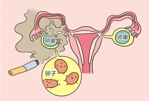 2022-12-11·34人瀏覽輸卵管輸卵管堵塞多囊卵巢綜合症多囊卵巢想要