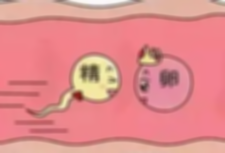输卵管堵塞一边对女性的危害也不止生育这一点