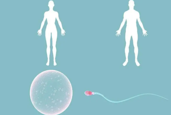 孕妇孕期体内激素变化大,出现褐色分泌物可能和这些原因有关