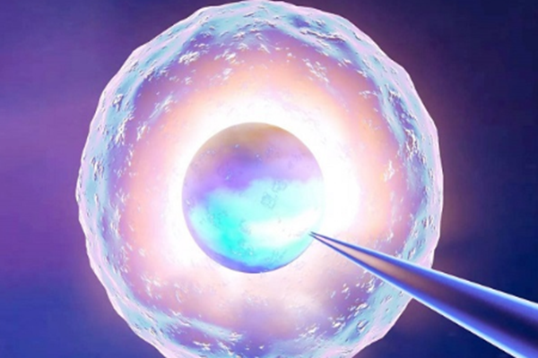 2023泰國杰特寧醫(yī)院三代試管包生男孩的價格一覽,看到這就知道要花多少錢