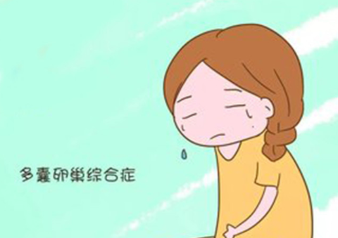 胖多囊瘦下来会不会好,多囊综合症该怎么治疗呢