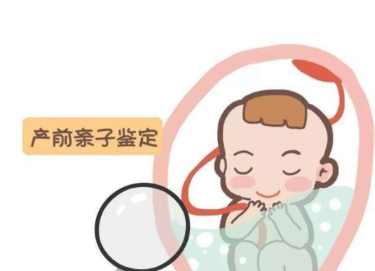 怀孕做亲子鉴定准吗,怀孕做亲子鉴定可信吗