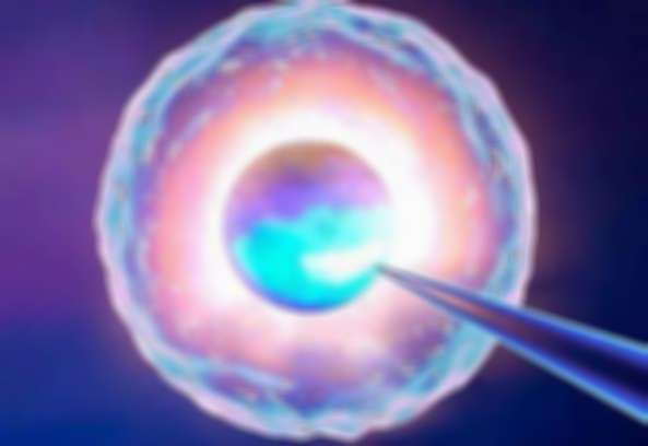 日本三代试管婴儿包成功费用昂贵，但成功率高达70%