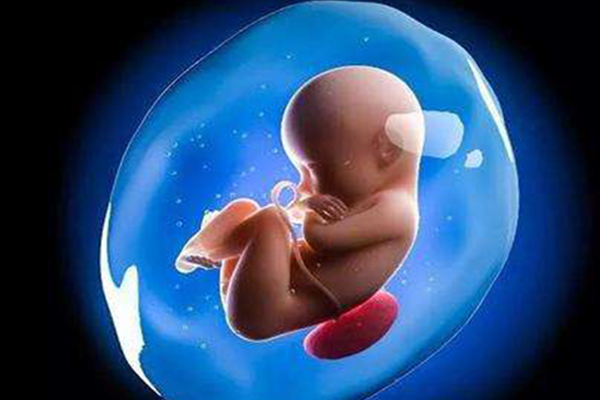 烏克蘭三代試管嬰兒雙胞胎價格明細公開,一文告訴你生混血寶寶多少錢