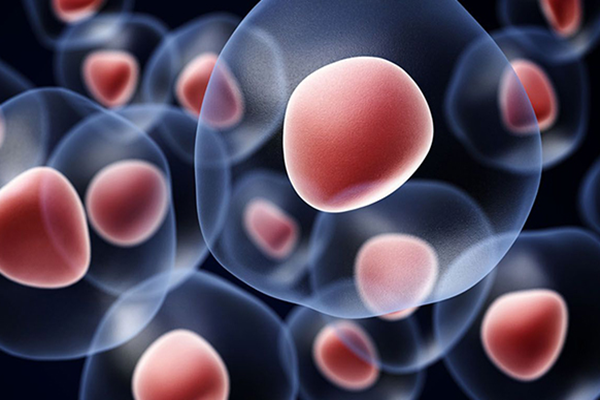 45歲高齡女性做試管嬰兒是個(gè)坎，只有過(guò)來(lái)人才知道多么不易