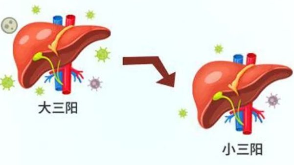 乙肝症状小三阳是什么,会具有传染性吗