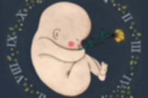 详解试管婴儿的优点和弊端，试管优缺点一次说清