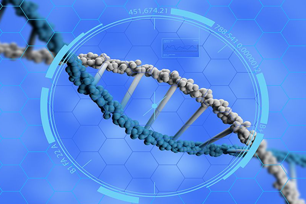 试管婴儿怀孕后检查的重要性，全方面了解宝宝的发育情况