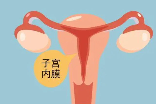 子宫内膜薄可以通过中药调理吗,什么原因导致子宫内膜薄