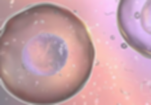 子宫内膜薄，能否试管受孕？看完这篇你就懂了