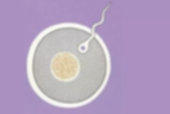 精子没有活力会怀孕吗，改善精子活力的办法盘点