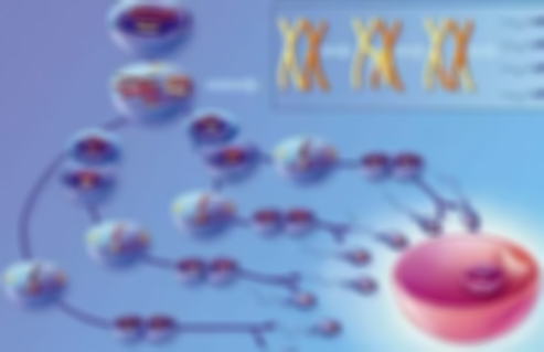 怎樣去泰國試管嬰兒？去泰國做試管嬰兒的這份具體流程要收好