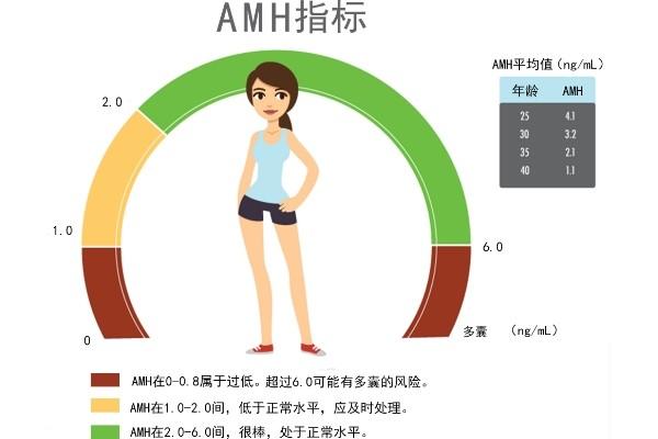 AMH正常值是多少？了解女性生殖健康的重要指标