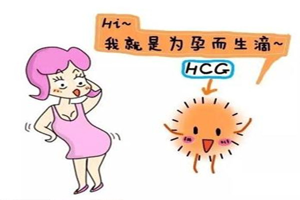 孕早期hcg低孕酮高？这意味着什么？