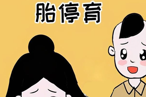 什么是试管宝宝胎停？试管婴儿胎停的原因是什么？