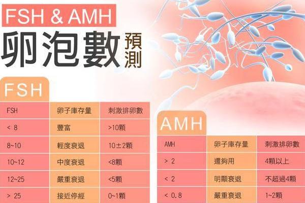 AMH与年龄对照表，女性生殖健康必备指标