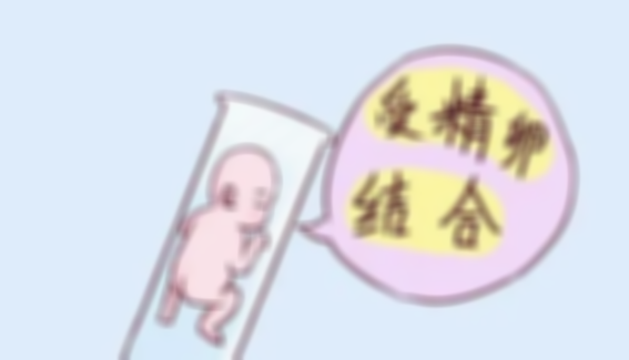 试管婴儿几天移植，移植前要注意合理安排时间