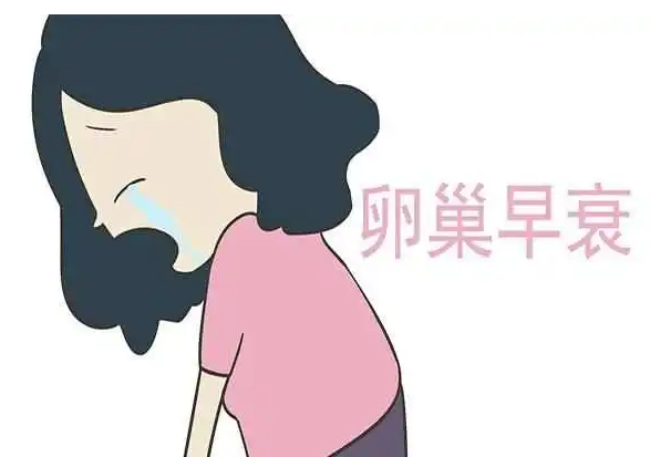 女人卵巢衰退正常年龄？女性卵巢预防衰退的方法