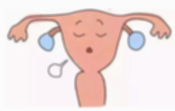 有没有天生没有子宫的人？了解无子宫女性的生育选择