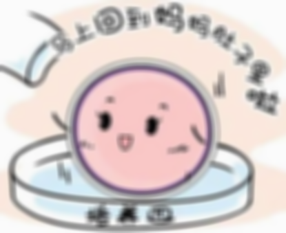试管移植养囊几天着床，这些是成功着床的预兆