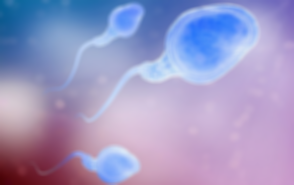 男人精子在体外能活多久？这些关键因素影响精子储存时间