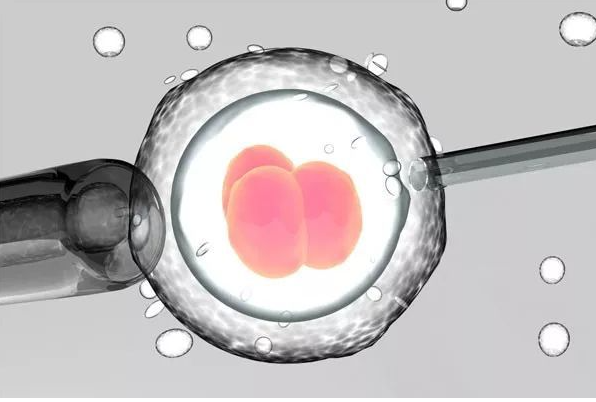 试管婴儿优生五项，提高宝宝质量