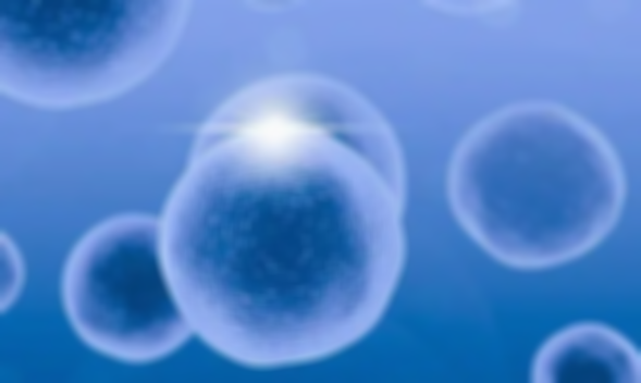 試管上哪家醫院（試管上哪家醫院好）