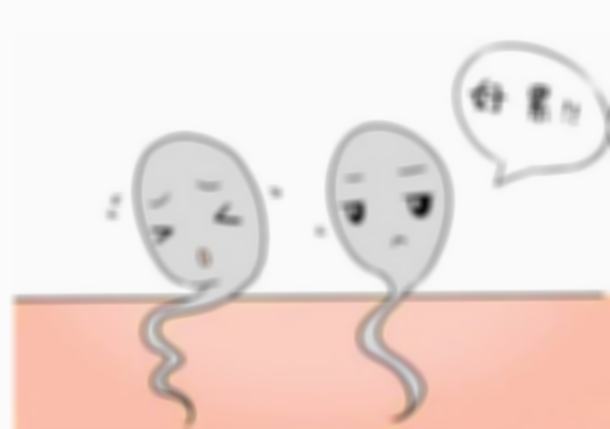 精子顶体酶活性不足，人工授精或试管婴儿？