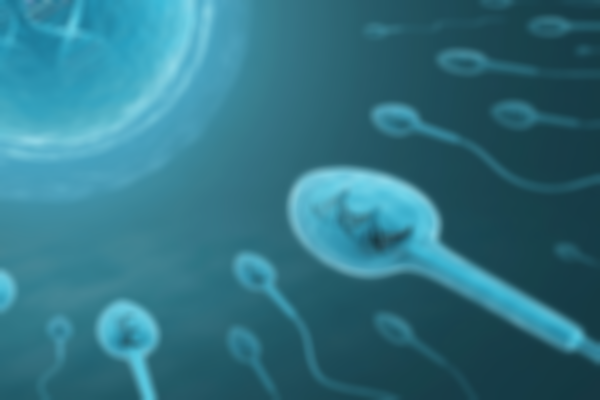 男性精子碎片率高做试管是否可行？专家给您答案！