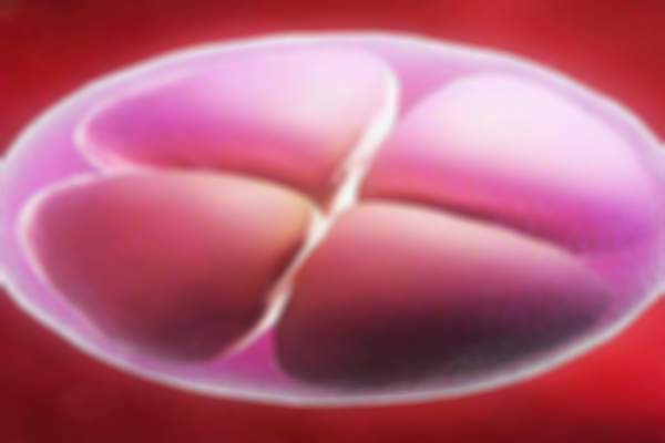 囊胚流出別被圖片誤導!少量褐色分泌物是移植第二天的正常表現!