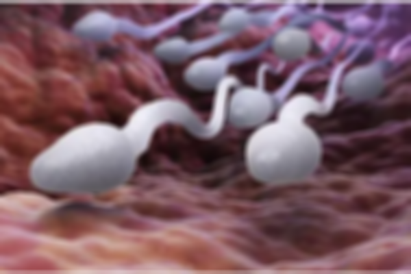 医院精子活力测试只需100元，了解男性生育能力做这五项检查！