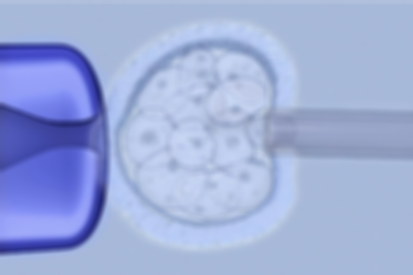 尋找做試管嬰兒養(yǎng)不出囊胚的常見(jiàn)原因和診斷方式!