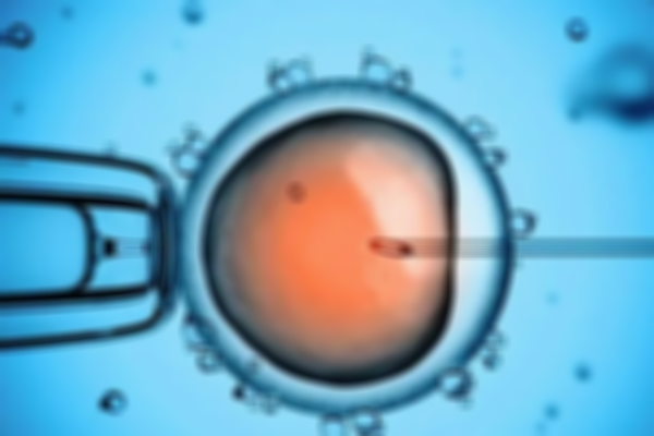 馬來西亞試管嬰兒，必備手續與注意事項！