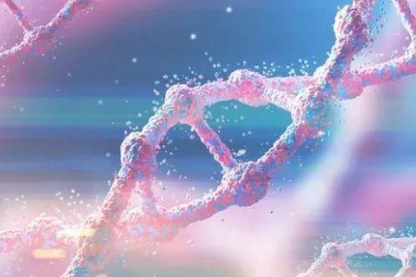 高龄三代试管囊胚筛选通过率是多少？附真实情况