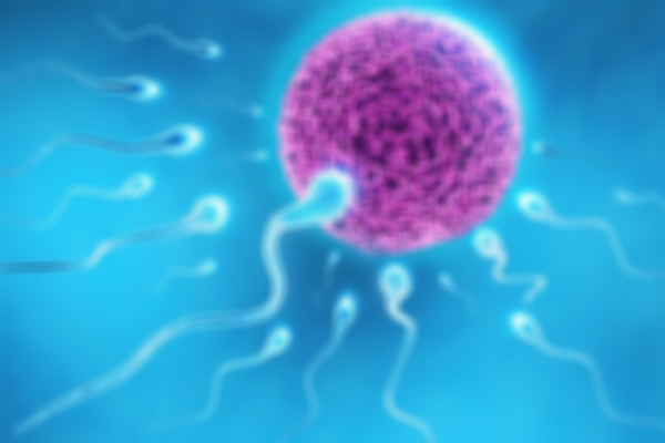 國內提供的三代試管嬰兒成功率如何?附上發展歷程