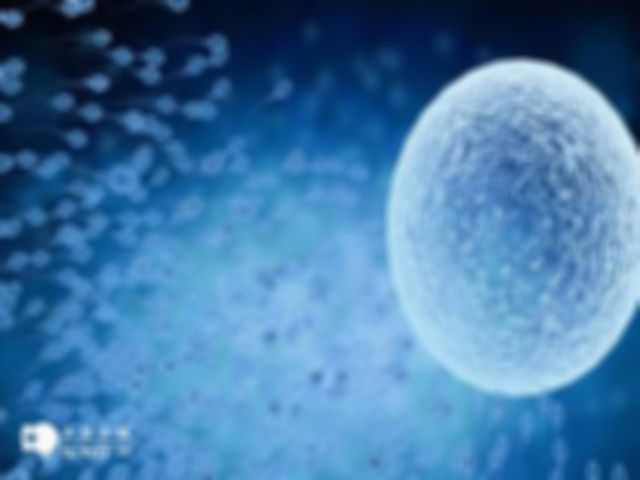 郑州做试管婴儿需要花费多少钱？附上各项目及费用解析