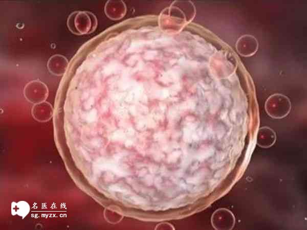 贵阳试管婴儿成功率高的医院公布，附上排行前八介绍！