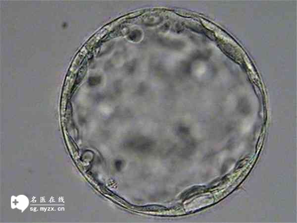 福建试管婴儿的医院哪家好？内附最好的医院优势与特点解析