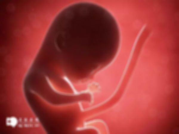 湛江生殖试管婴儿公立和私立医院排名公开！附上名单介绍